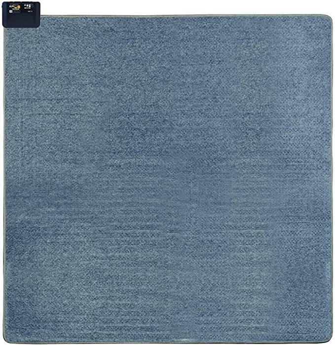 新品 未開封 KODEN/広電 ホットカーペット本体2畳 本体のみ /2畳相当 VWU191H拍卖