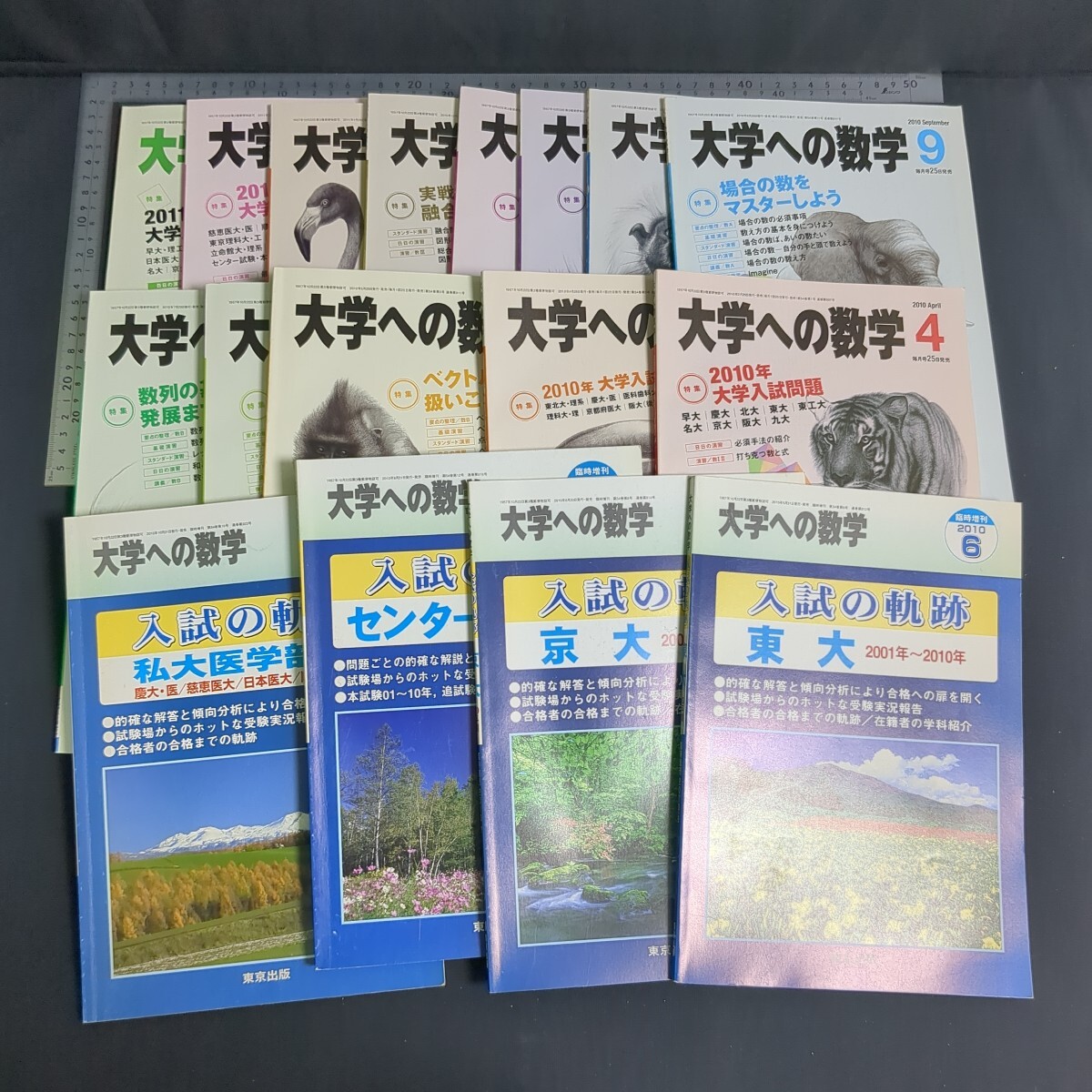 11)『大学への数学』計17冊 2010年4月~2011年4月号揃 臨時増刊(2010年6,7,9,11月号) 東京出版 問題集 大学受験 高校数学 安田享 藤田宏 拍卖
