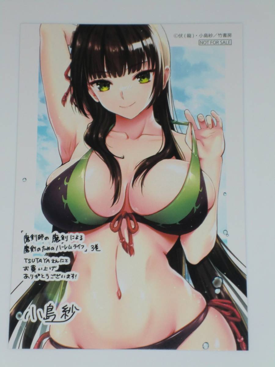 魔剣師の魔剣による魔剣のためのハーレムライフ ③ ☆ イラストカード コミック購入特典拍卖