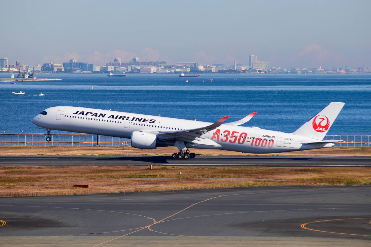 飛行機 デジタル 画像 A350 JAL ロゴ機 28拍卖
