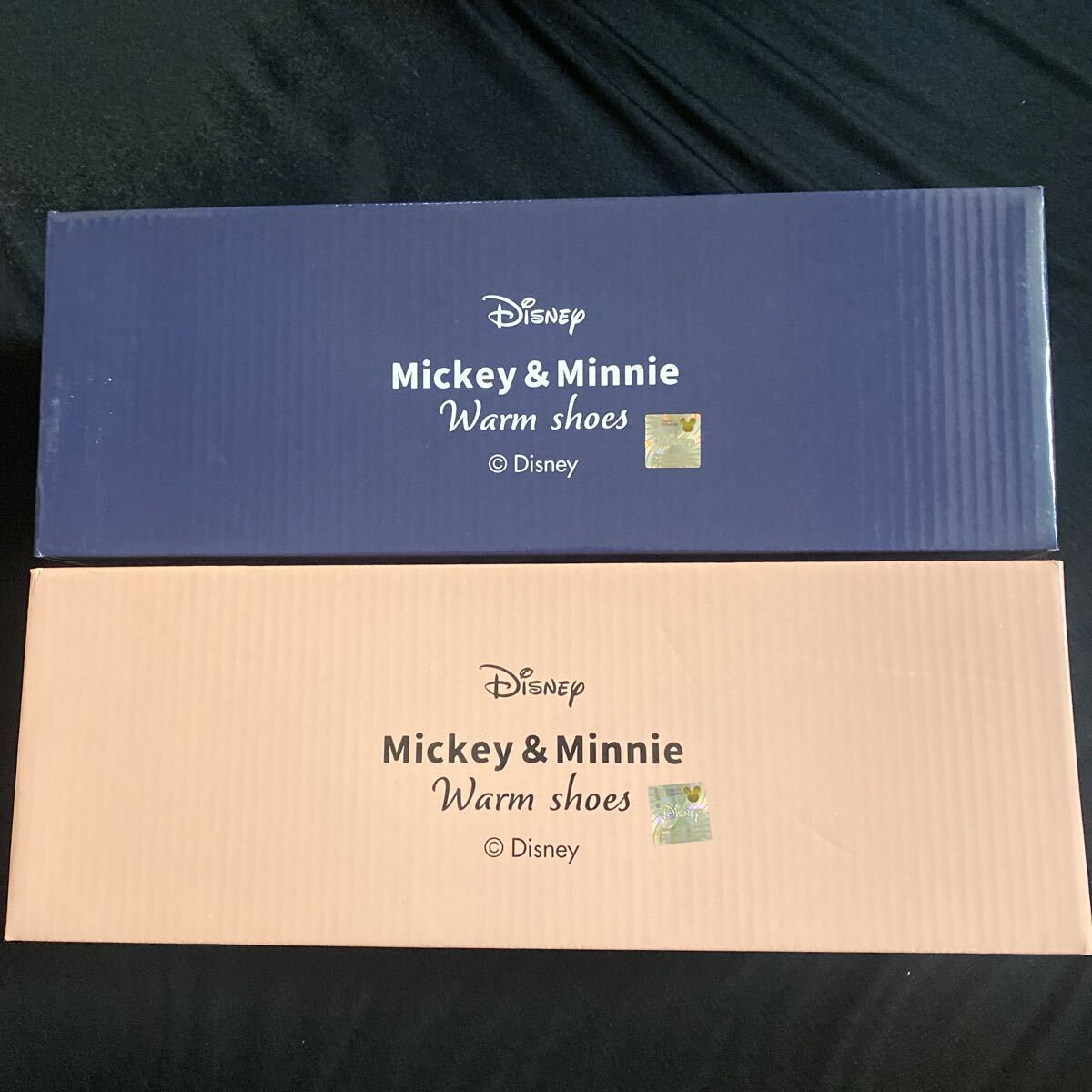 Disneyディズニー★ミッキーマウス Lサイズ26〜28cm★ミニーマウス Mサイズ23.5〜25.5cm★サンダル★2点ペアセット拍卖