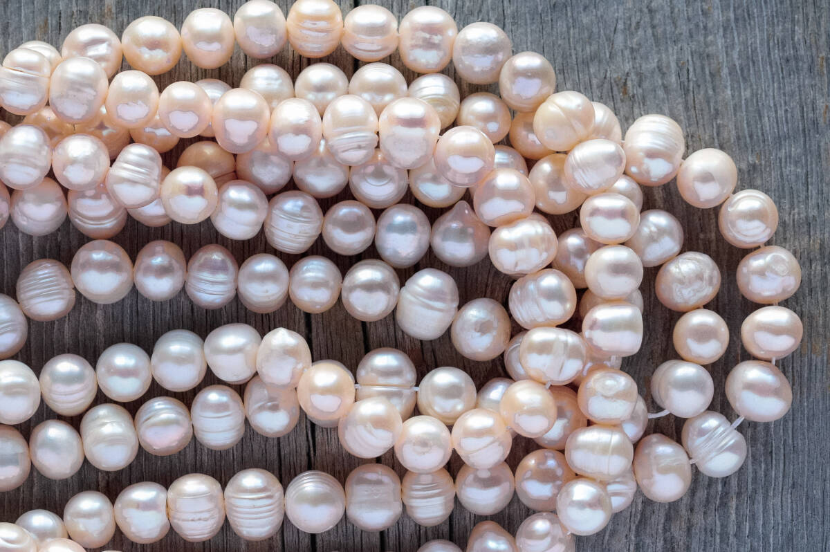 * 淡水パール拍卖