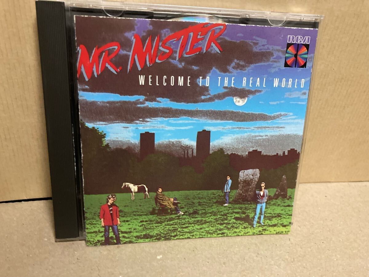 MR MISTER【WELCOME TO THE REAL WORLD】 ROCK/ POPS/80's 拍卖