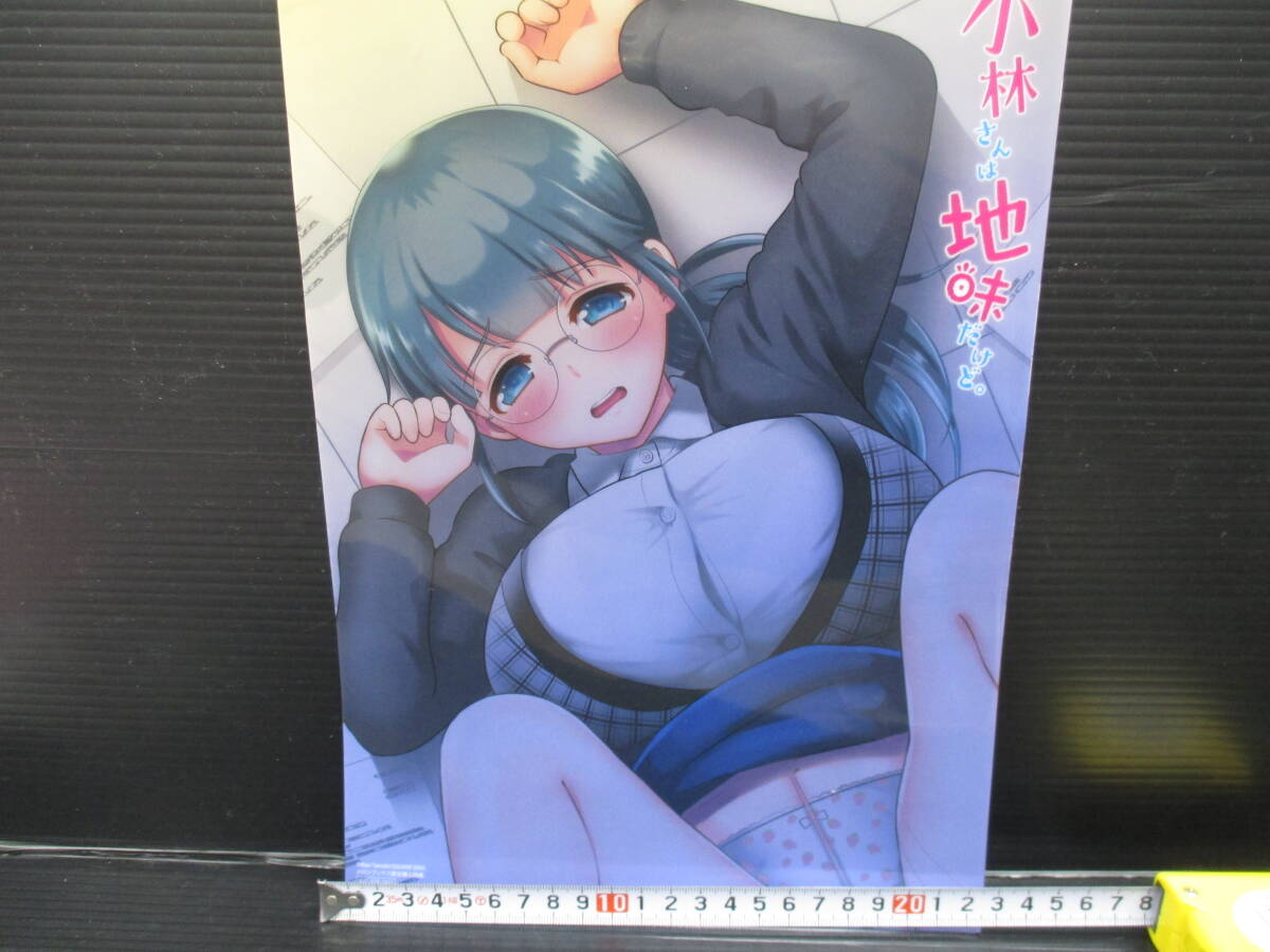 クリアファイル 玉姫なおイラスト 特製A4クリアファイル 「コミックス 小林さんは地味だけど。 1」メロンブックス購入特典 f25-02-09-1拍卖