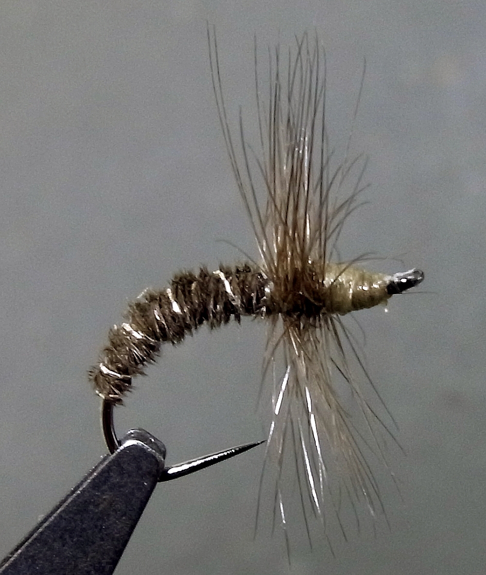 テンカラ/フライ #12 クイルボディ ダークダン ◆バーブレス◆ 10本拍卖