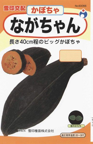 送料無料 ながちゃん かぼちゃ 3粒拍卖