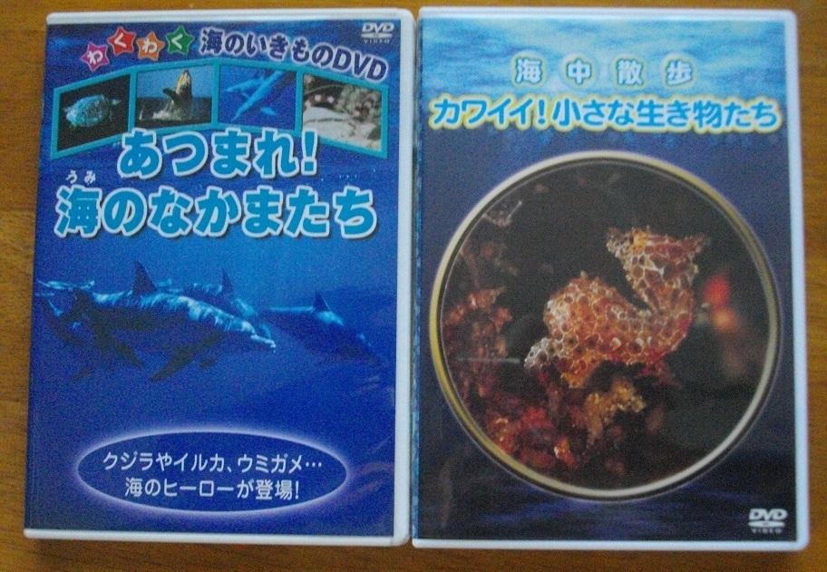 「あつまれ海のなかまたち」「カワイイ!小さな生き物たち」「「かわいい動物がいっぱい」「白雪姫」」中古DVD 4本組 送料無料 341.343拍卖