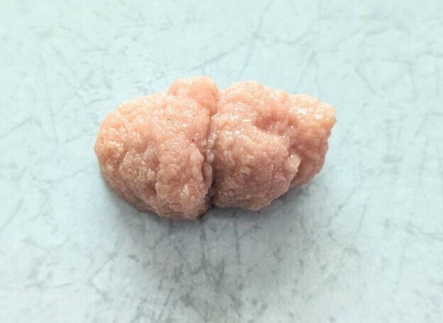 【まいづる食品サンプル】たらこ D-56拍卖