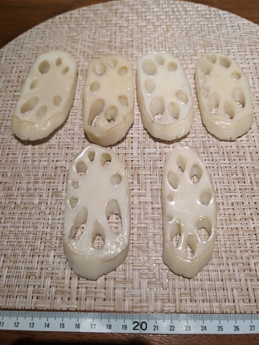 【まいづる食品サンプル】れんこん 蓮根 D-28 6枚セット拍卖