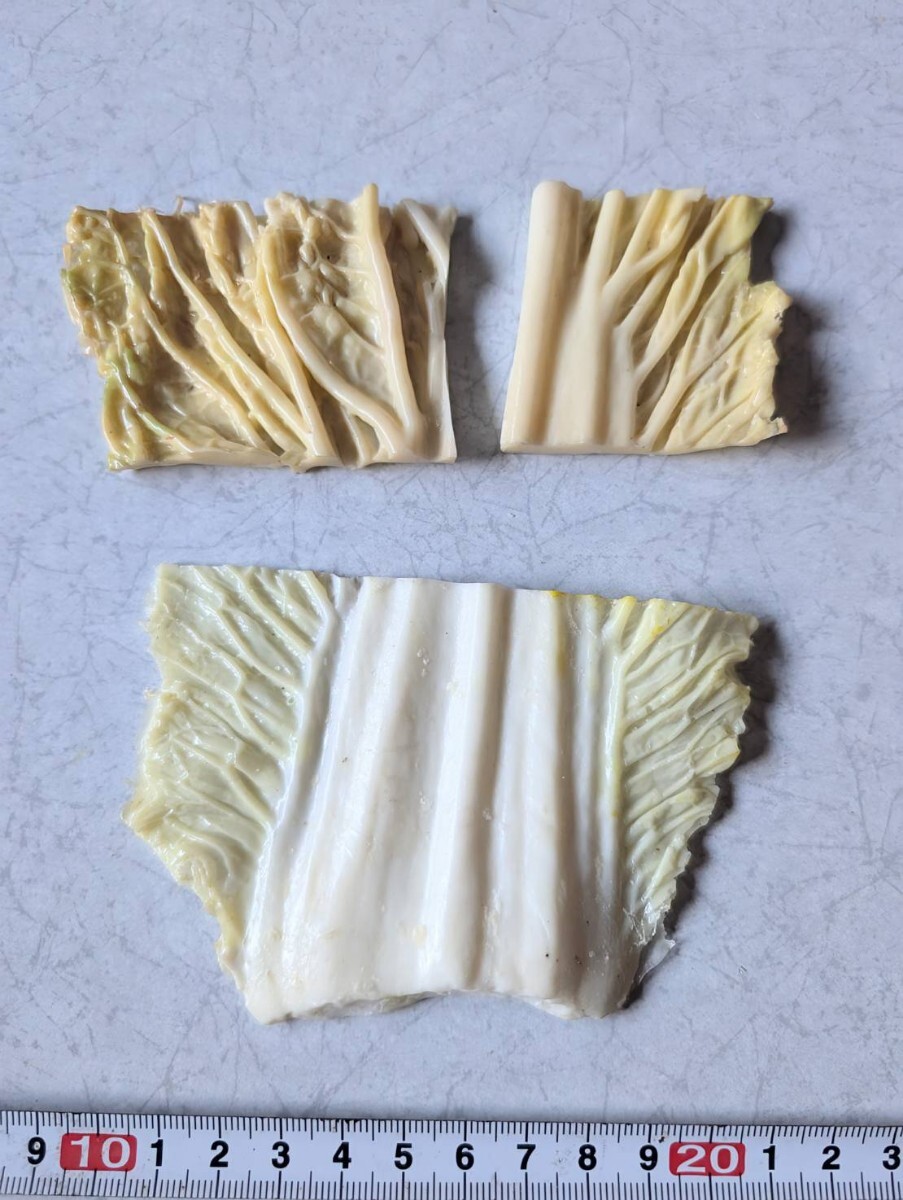 【まいづる食品サンプル】白菜(カット済み)C-61拍卖