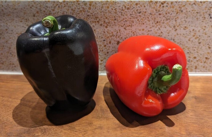 【まいづる食品サンプル】パプリカ D-1拍卖