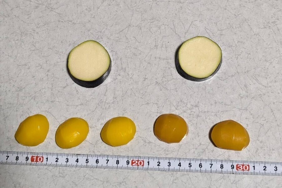 【まいづる食品サンプル】茄子 栗甘露煮 なす D-43 まとめ売り拍卖