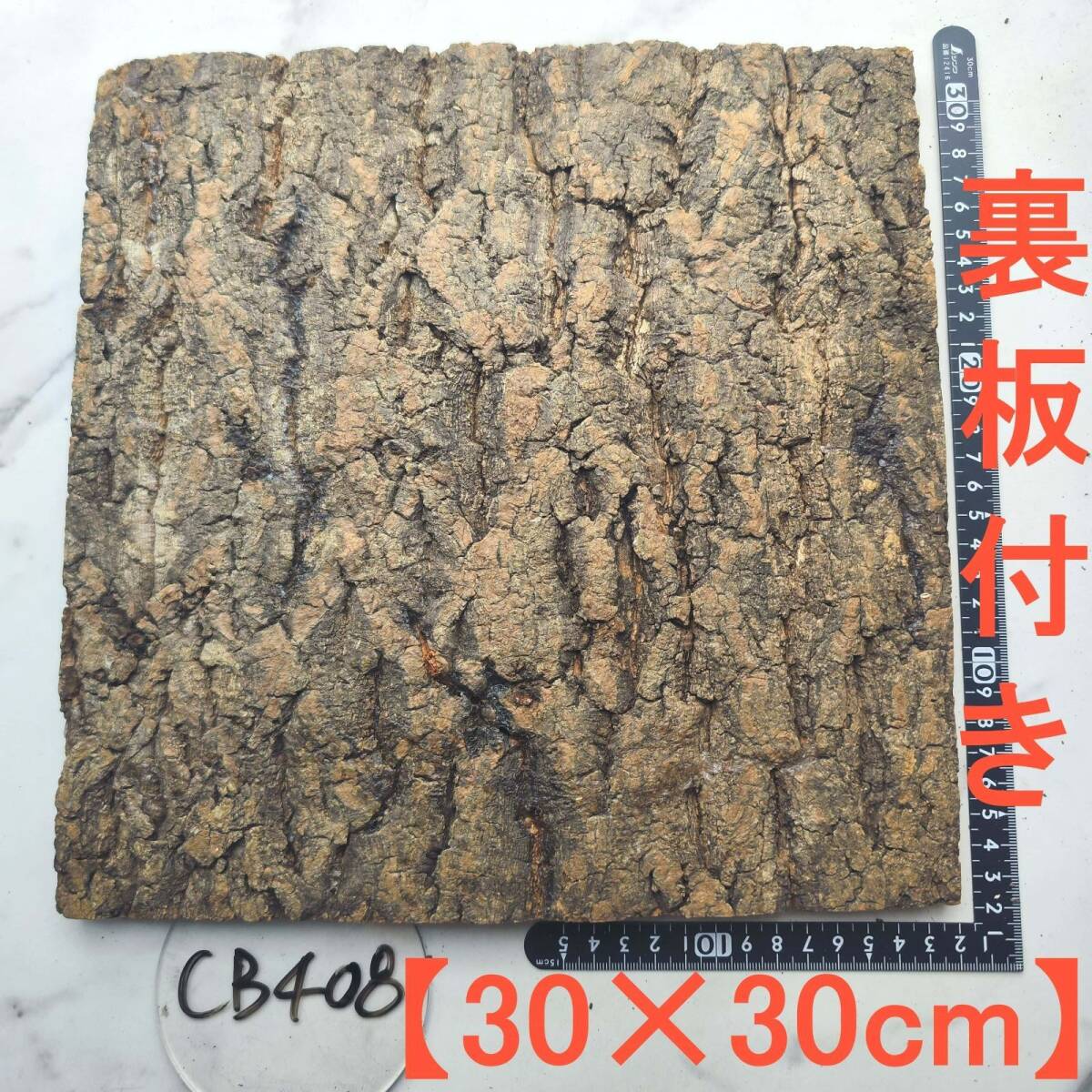CB408【裏板付き30×30cm】 コルク樹皮 コルク板 バージンコルク 送料無料  チランジア ビカクシダ 着生ラン 両生類 爬虫類拍卖