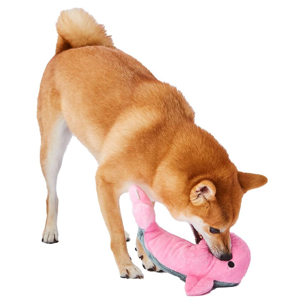 アドメイト (ADD. MATE) 犬用おもちゃ アクアメイトBIG クジラ拍卖
