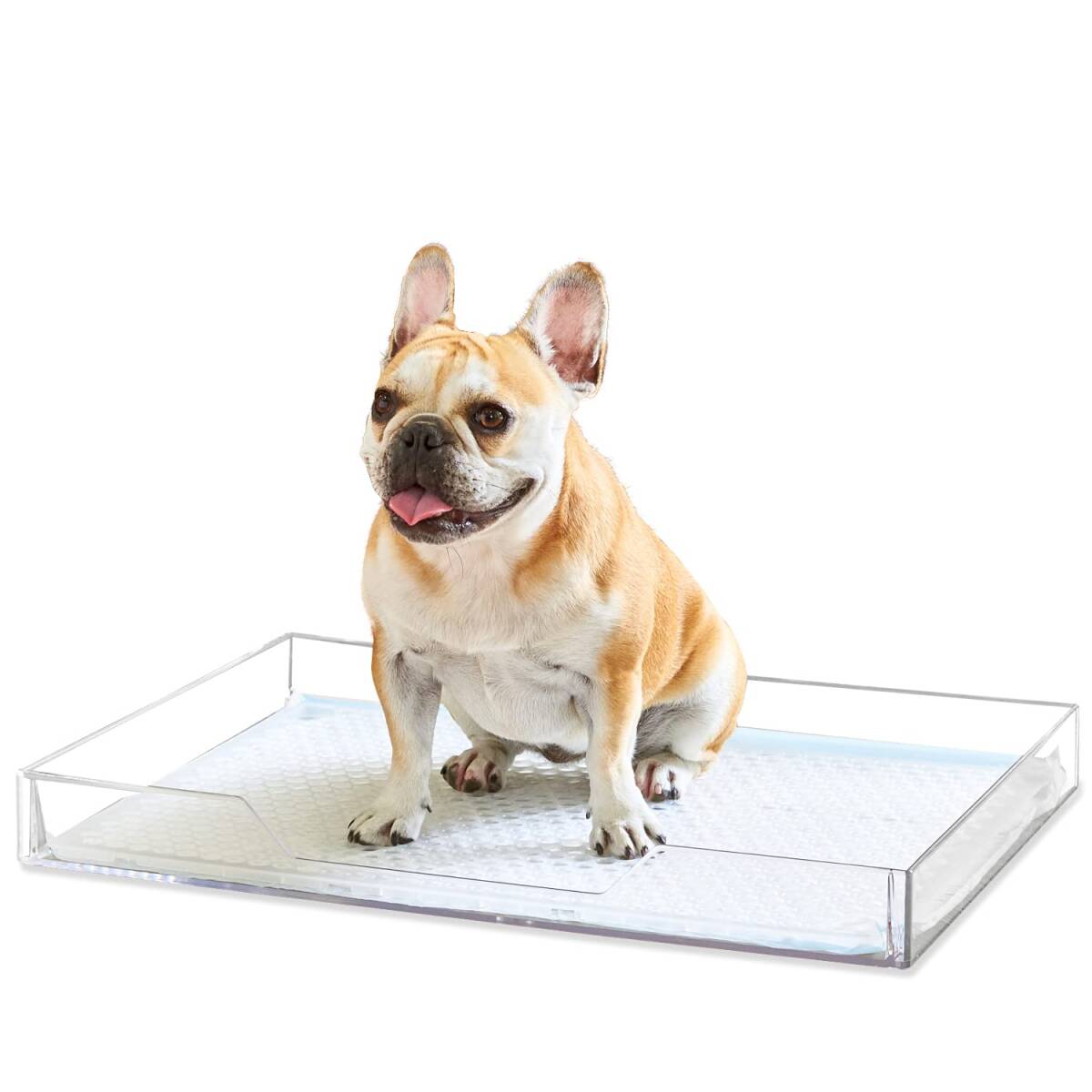 【OFT】 クリアレット 2 M メッシュトレーセット メッシュ丸穴タイプ 犬 トイレ拍卖