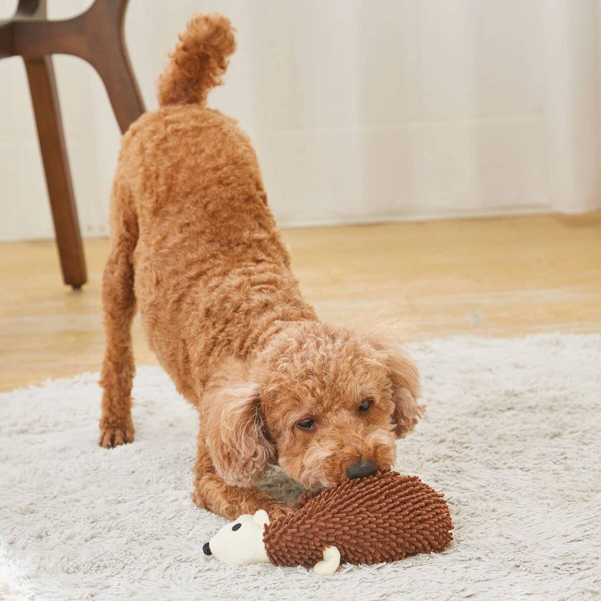 ペティオ (Petio) 犬用おもちゃ モコモコシャカシャカTOY BIG ハリネズミ拍卖