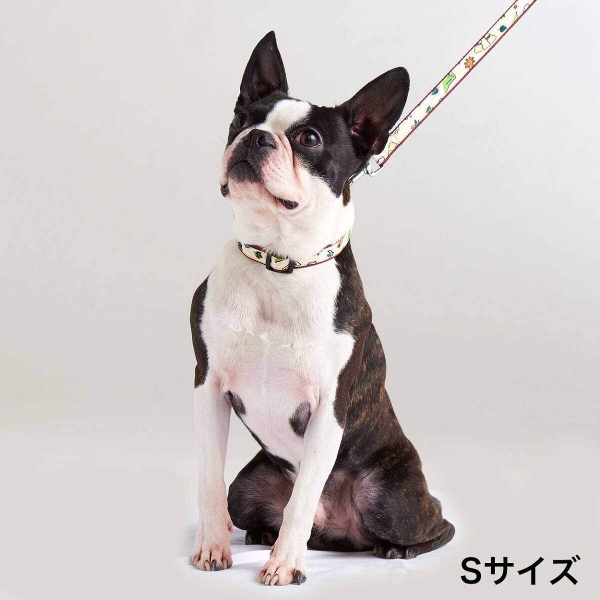 ペティオ (Petio) 首輪 Ethical Door エシカルドア キャンプカラー クリーム 犬 S サイズ拍卖