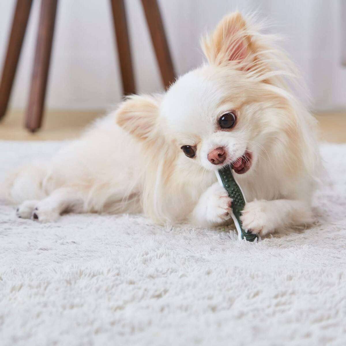 ペティオ (Petio) 犬用おもちゃ かんでるボーン デンタル SS ハード拍卖