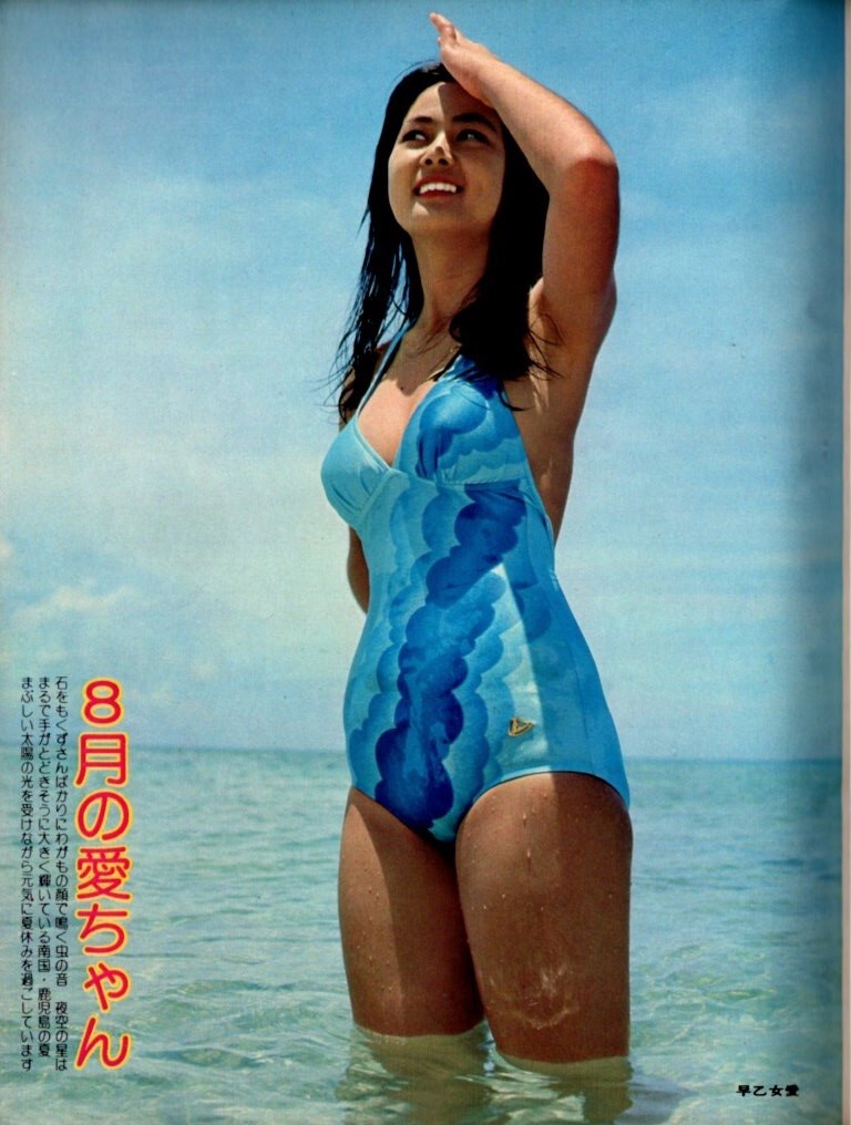 s3679 平凡 美品 1976年昭和56年 水着ビキニ 早乙女愛 アグネスラム キャンディーズ 桜田淳子 山口百恵 志穂美悦子 北村優子 西城秀樹拍卖