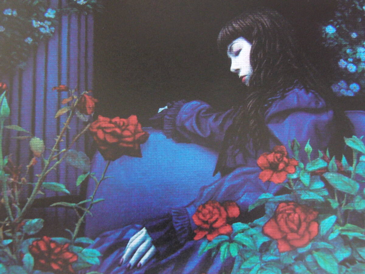 Toru Nogawa、「Little Briar Rose」、厳選、希少画集・額装画、人気作品、新品高級額 額装付、状態良好、美人拍卖