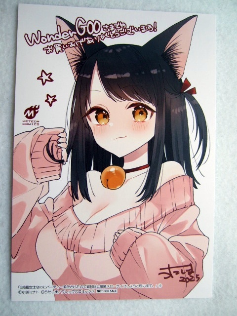 ワンダーグー 限定 S級鑑定士なのにパーティー追放されたので猫耳娘と農業スローライフしようと思います。 4巻 ポストカード 250212 特典拍卖