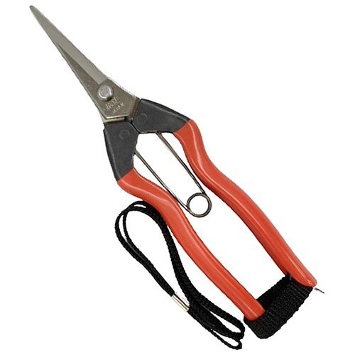 日本製 越路 ステンレス摘果鋏185ミリK-9S ストラップ付JAN4991579071095小林製鋏株式会社果樹・菜園用はさみ拍卖