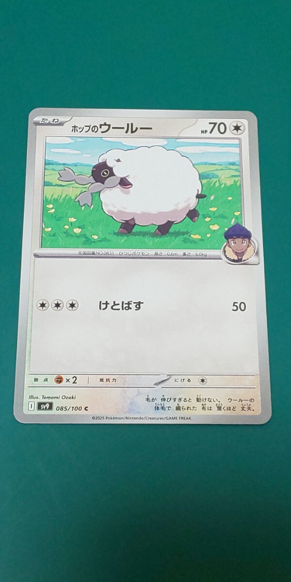 ポケモンカード ホップのウールー拍卖