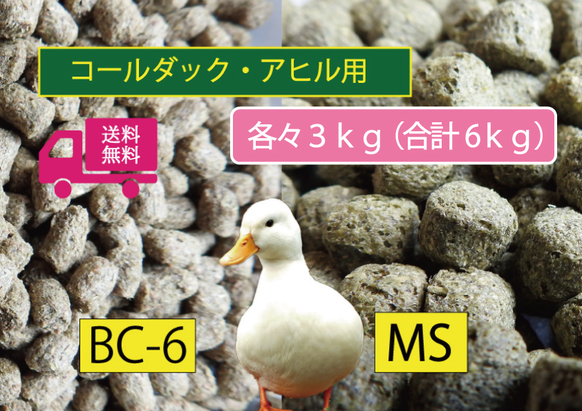 ★たっぷり【アヒル・コールダック用飼育飼料セット】2種3kgずつ6kg水禽・カモ用拍卖