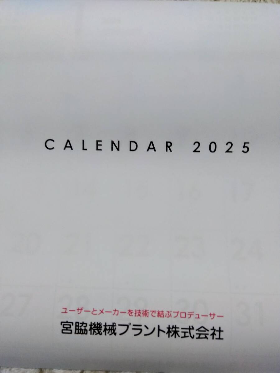 ☆未使用☆■宮脇機械プラント株式会社 大きな文字の壁掛けカレンダー 書くのに便利です!撮影の為に開封拍卖