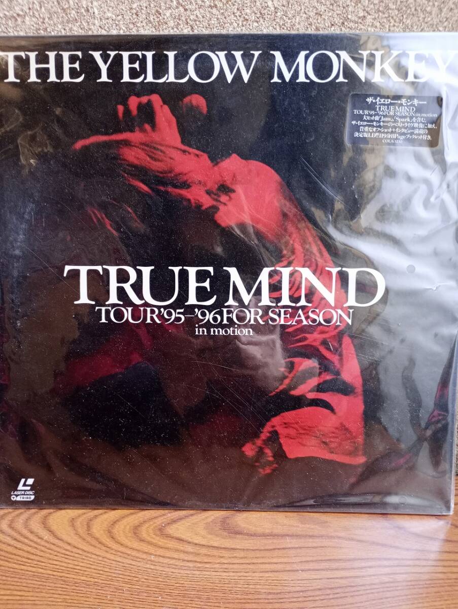 L0275 LD・レーザーディスク ザ・イエロー・モンキー TRUE MIND TOUR'95-'96FOR SEASON in motion拍卖