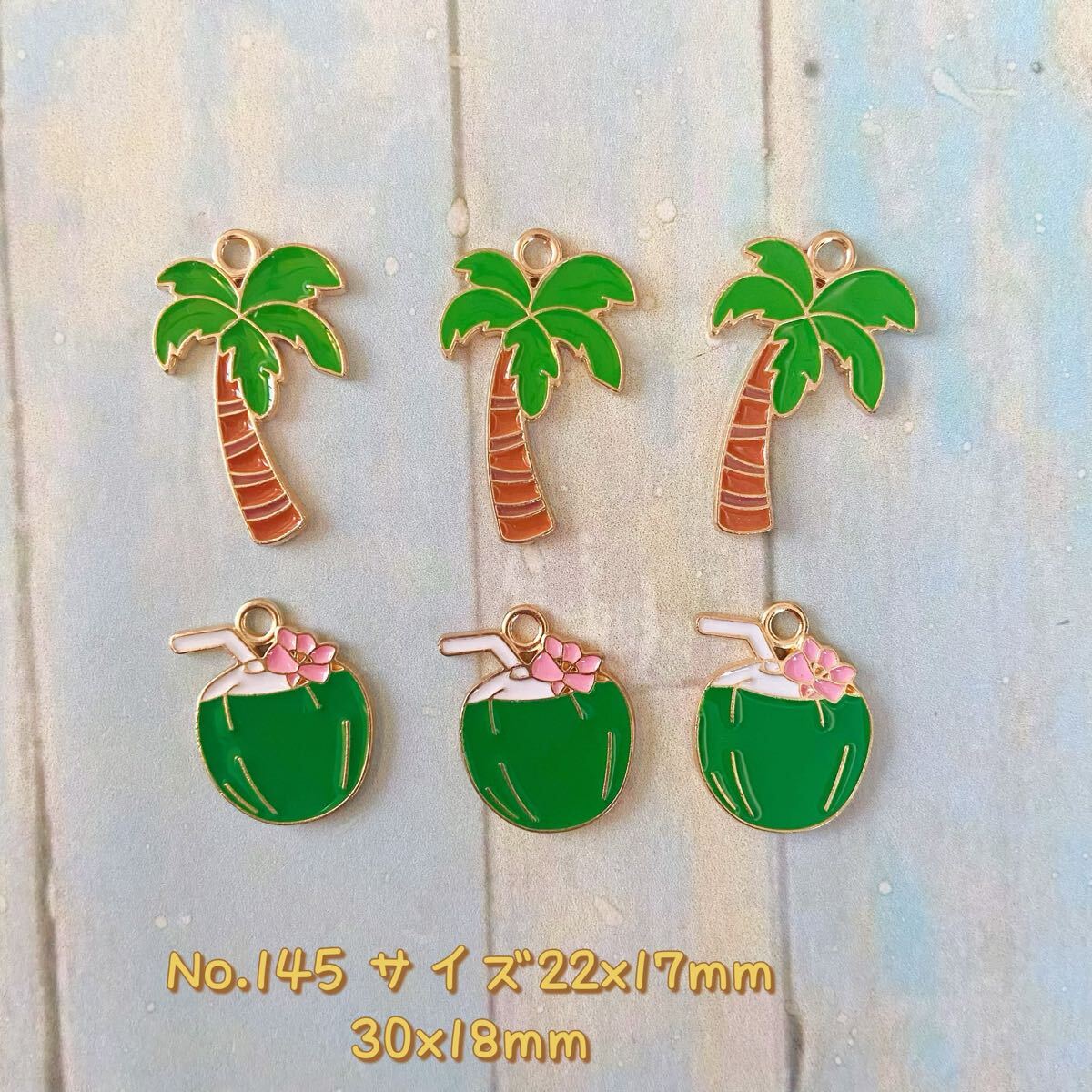6個セット・チャーム ★ココナッツ拍卖