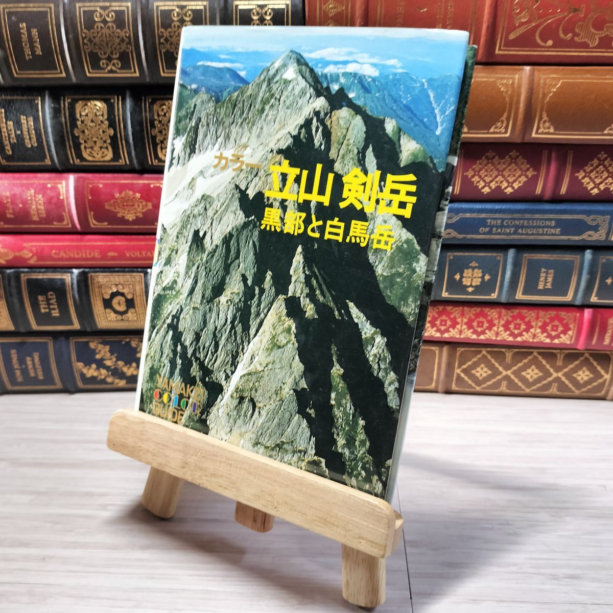 8-1 立山 剣岳 黒部と白馬岳 山溪カラーガイド 34 カビ種あり 00352拍卖