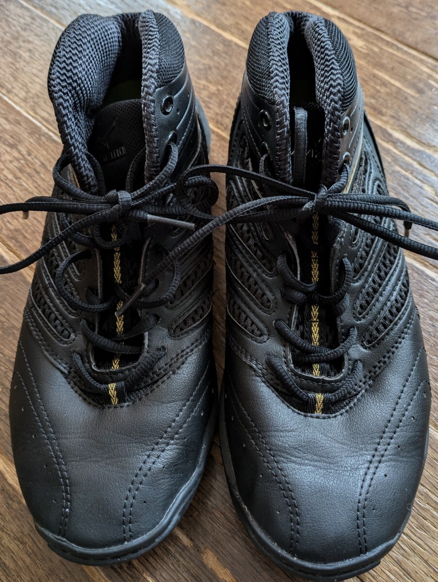 【数回着用】MIZUNO★25cmシューズ拍卖