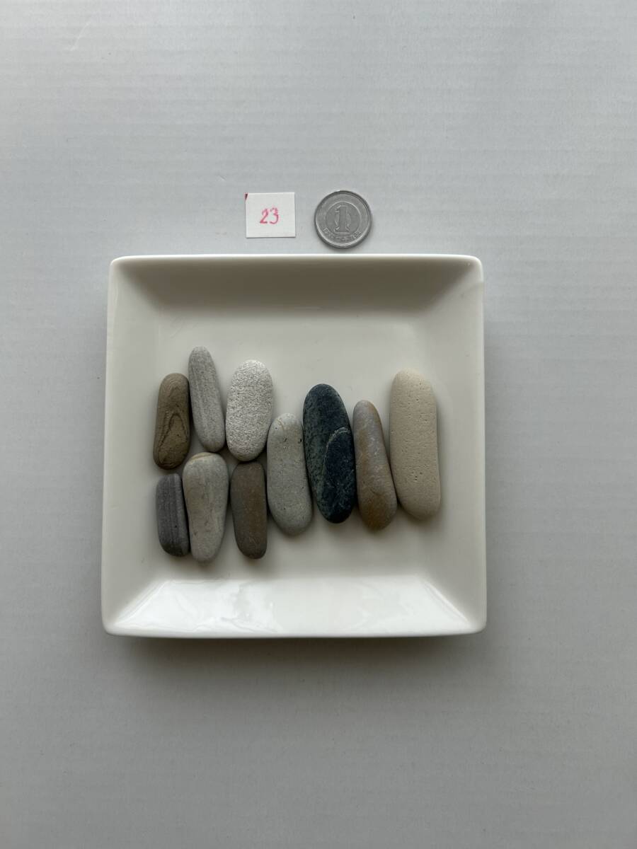 23 シーストーン 石拍卖