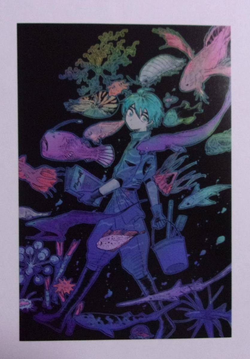 【ポストカード】 マグメル深海水族館 3巻初回購入特典 椙下聖海/新潮社 検イラストカード 拍卖