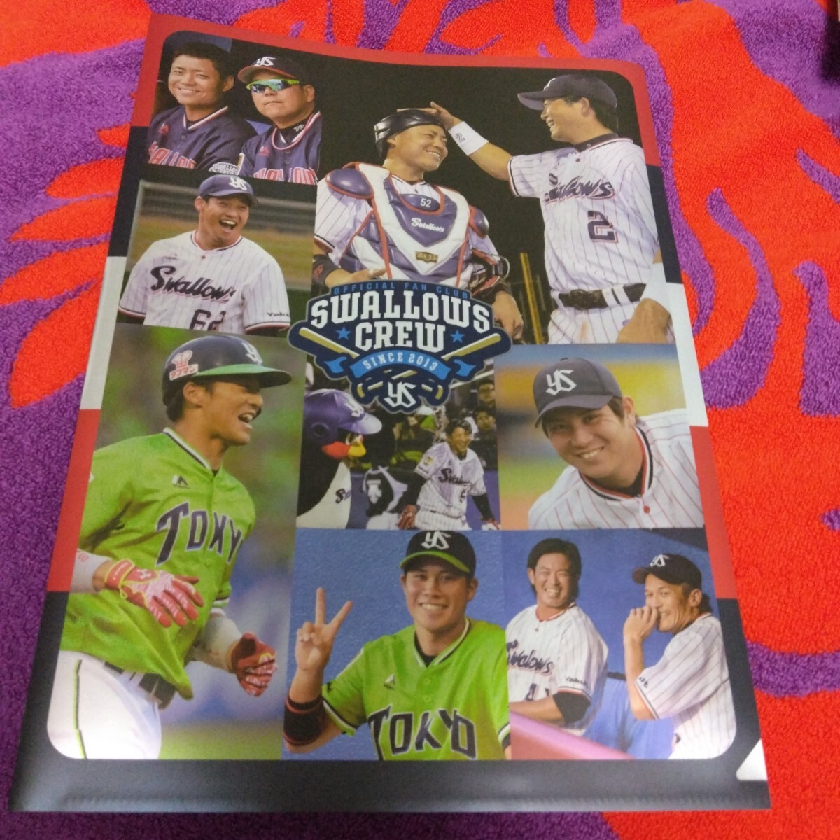 【81】ヤクルトスワローズ■クリアファイル拍卖