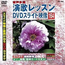 【中古】演歌レッスン DVDスライド映像 164 スライド映像と歌詞が出るDVDカラオケ a2210【中古DVD】拍卖