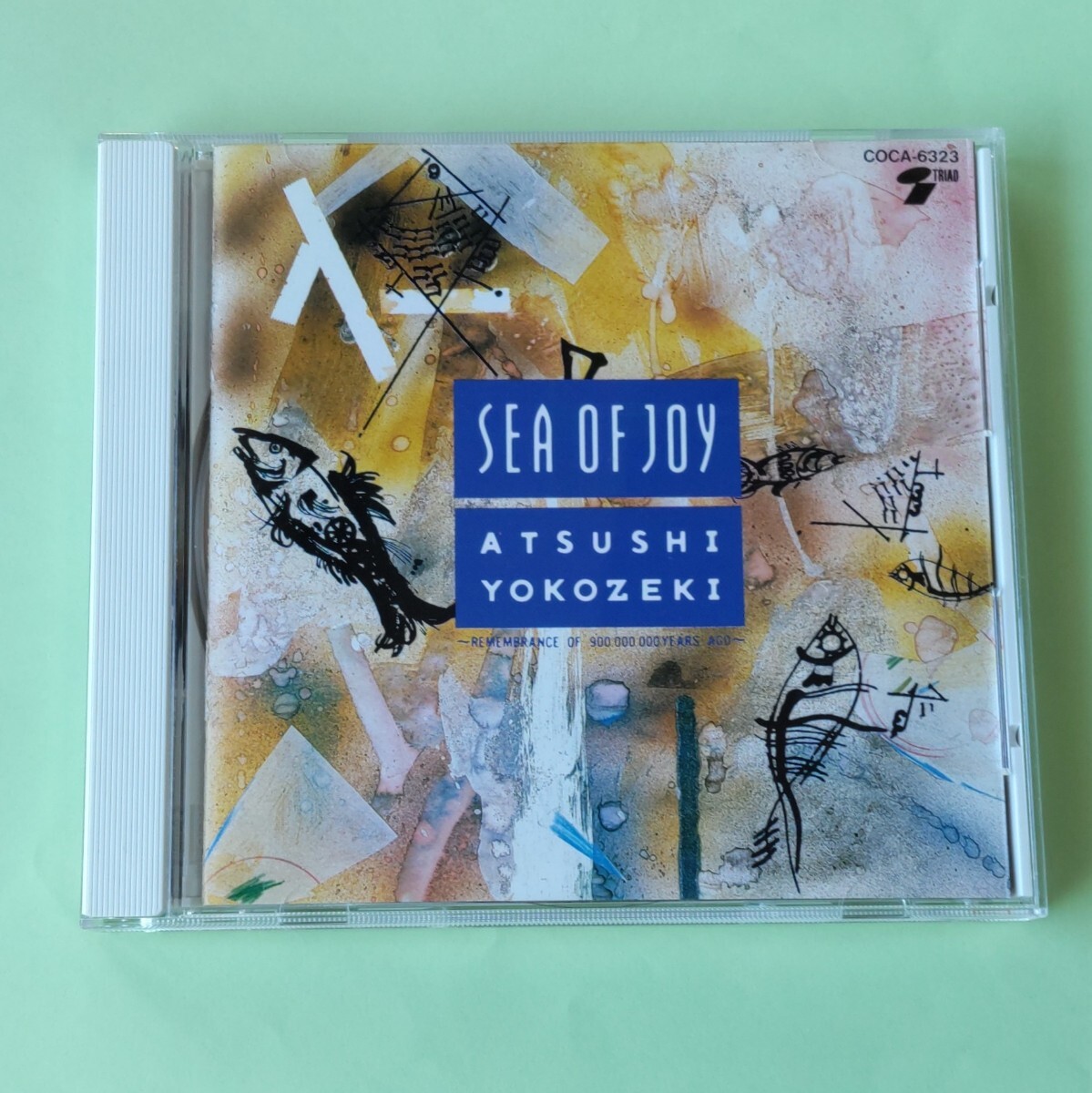 横関敦 SEA OF JOY Atsushi Yokozeki ★諸田コウ(DOOM)そうる透参加拍卖