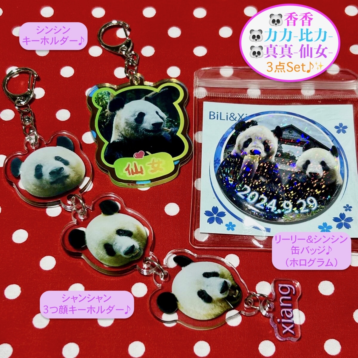 【リーリー&シンシン&シャンシャン】比力・仙女・香香 缶バッジ&キーホルダー② ジャイアントパンダ 力力 真真 上野動物園 中国雅安碧峰峡拍卖