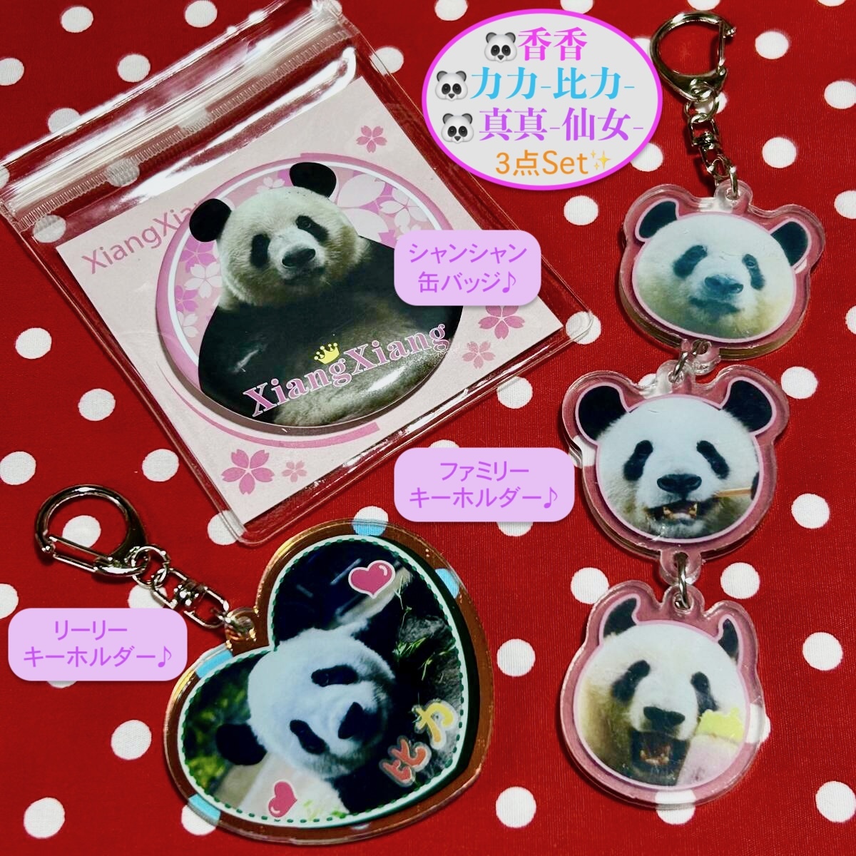 【リーリー&シンシン&シャンシャン】比力・仙女・香香 缶バッジ&キーホルダー① ジャイアントパンダ 力力 真真 上野動物園 中国雅安碧峰峡拍卖