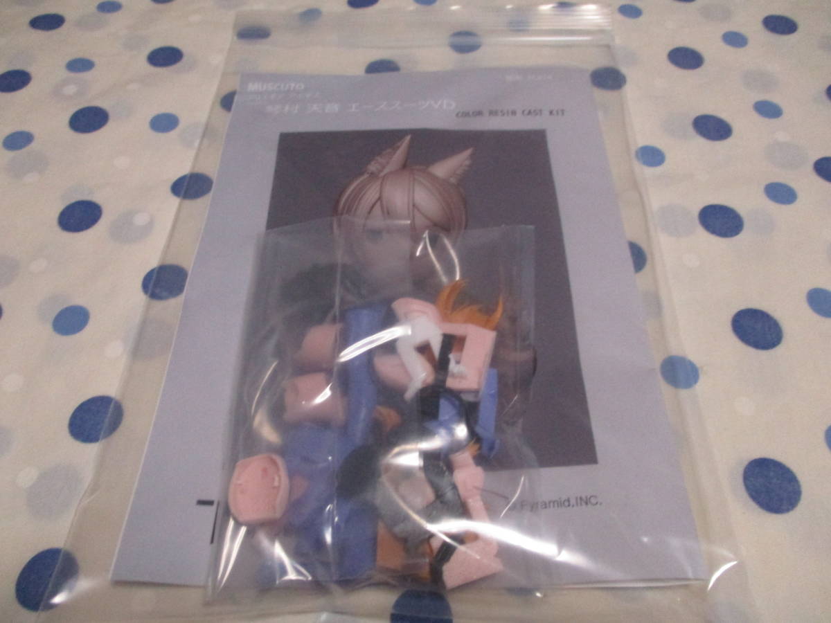 【正規品】 muscuto 新作 琴村天音 エーススーツDV ガレージキット 未組立品 アリス・ギア・アイギス メガミデバイス AK-GARDEN WF2024w拍卖