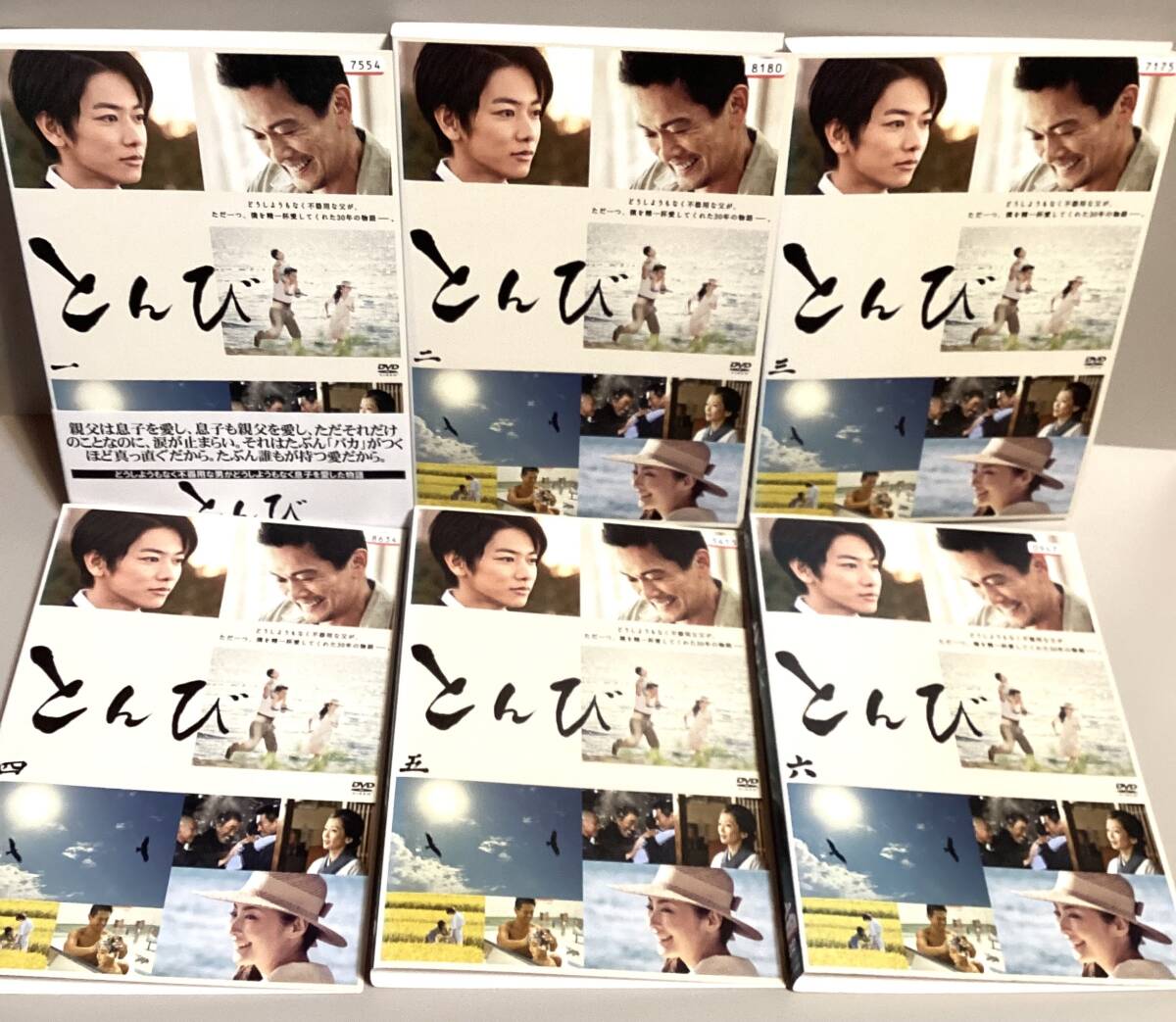 とんび 全6巻 DVD / 内野聖陽 佐藤健 常盤貴子 吹石一恵 加藤貴子 野村宏伸 即決。拍卖