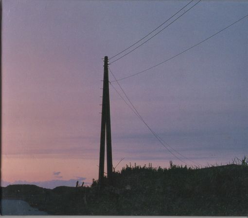 CD★ゆず/飛べない鳥拍卖