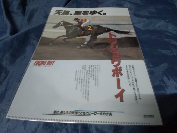 C0 クリアファイル トウショウボーイ JRA JRA ヒーロー列伝No.13拍卖