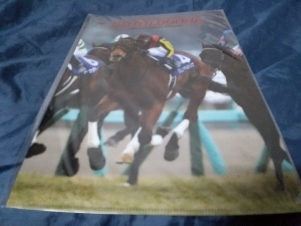 C0 クリアファイル JRA   ジェンティルドンナ 有馬記念拍卖