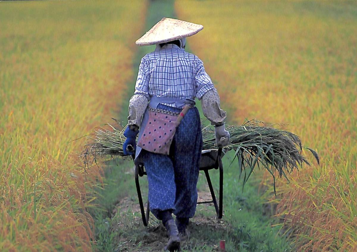 BCL★希少ベリカード★ラジオ・ジャパン+おまけ★ナショナル★National★プリセレクティブ・アンテナカップラ★RD-9830カラー取説付拍卖