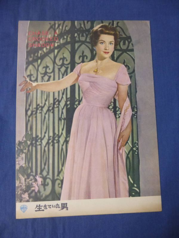 (124) 古い映画パンフレット「生きていた男」アン・バクスター/リチャード・トッド マイケル・アンダースン監督 CHASE A CROOKED SHADOW拍卖