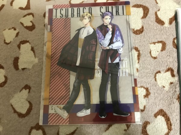134クリアファイル TSUKIPRO ツキプロ ムービック ツキプロショップ Solids 篁志季 奥井翼 拍卖