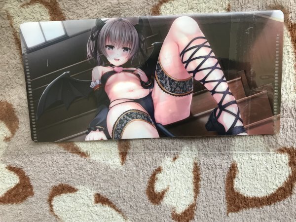 134クリアファイル 癒しの女神の実験台 (しろくまだんご) 乃絵のえる , もちお 特典 チケットファイル拍卖