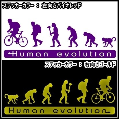 《CY01》30.0×10.5cm【人類の進化-サイクリング編】自転車レース、サイクル、ロードレース、トライアスロン応援ステッカー(1)拍卖